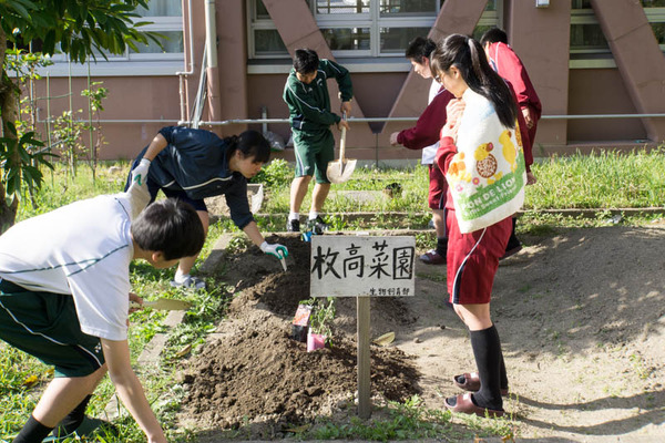 ぴー太郎-1804132