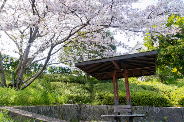 穂谷新池公園-20040714