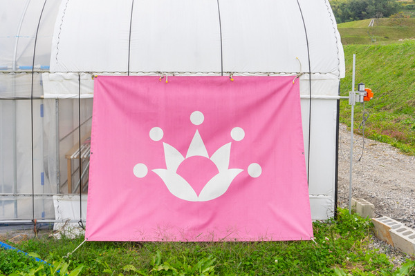 岸田の畑-2010222