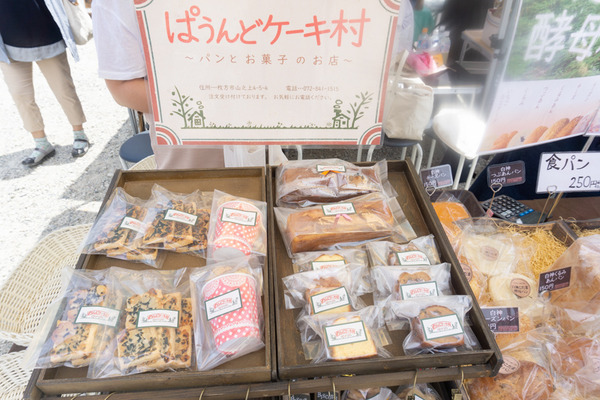 ひらかぐレポ小-57