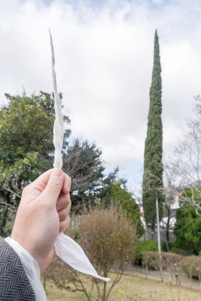 市民の森-16010709