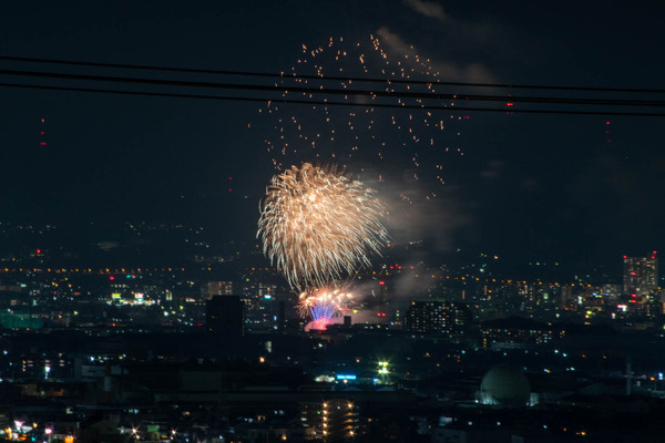 サイエンス-20083010