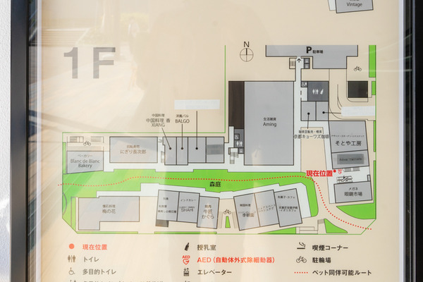 アクアテイラーズ-2010205