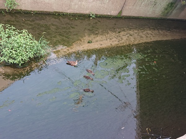 Photo_20-06-29-09-48-22.005