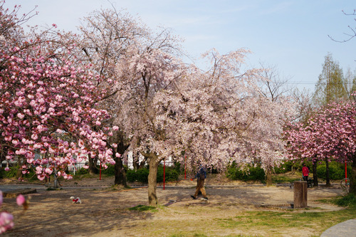 牧野公園