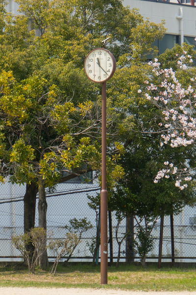 笹谷公園-2004089