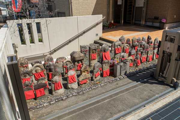 かなさき公園-2004078