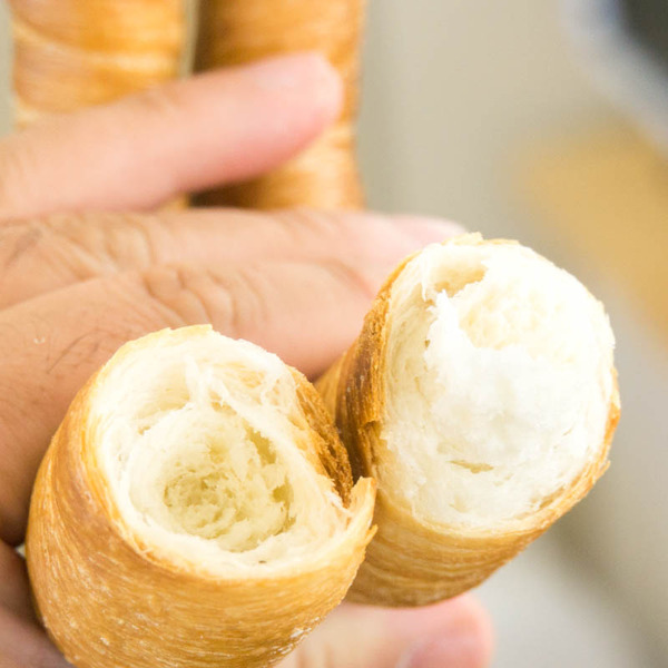 ゴッホ-1902254