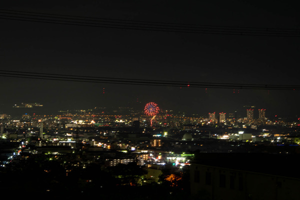 サイエンス-2008306