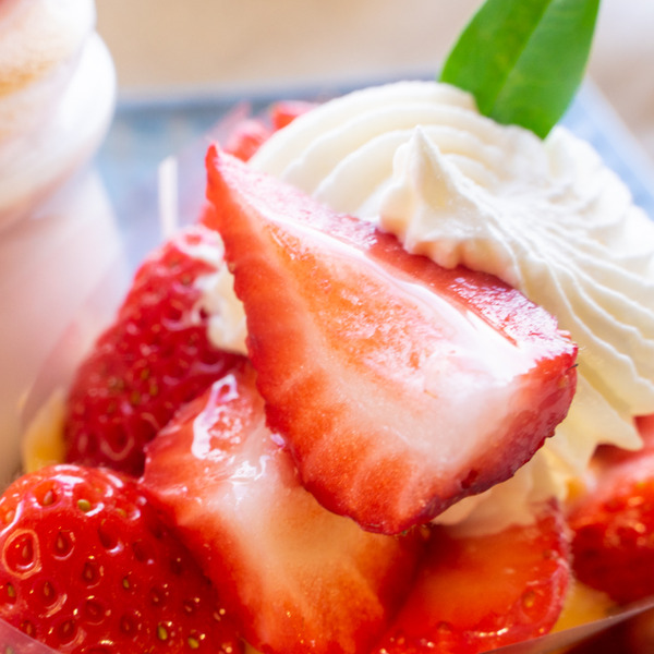 プティパニエ-2012186