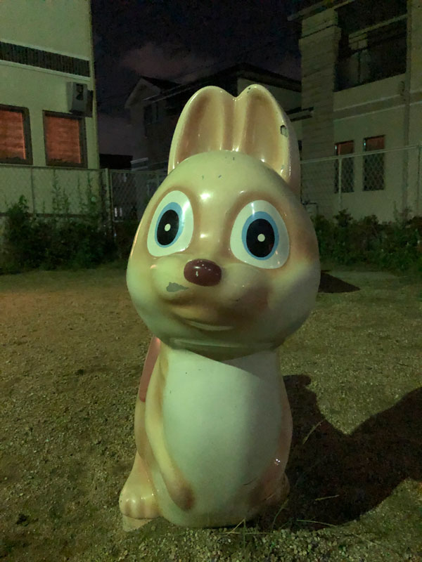 狂気じみた顔のウサギさん 枚方フォト 枚方つーしん