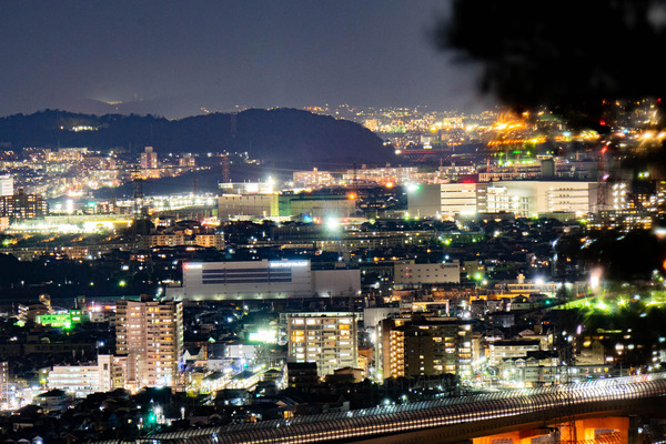 山の上から見た景色はキレイ！枚方市内の夜景とか夜の写真【枚方フォト】 - 枚方つーしん