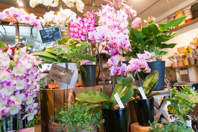 フラワーハウス クルール 星ヶ丘店 枚方市星ヶ丘 美容室 お店みせて パル会員特典あり 枚方つーしん