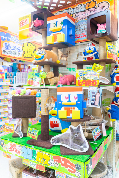 明日6月19日オープン予定の ドン キホーテ枚方店 の中を見せてもらってきた 1階編 枚方つーしん