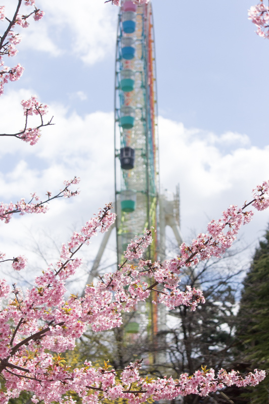 ひらパー新アトラクションに乗りに行ったら ひらパー定期預金 のこと教えてくれた ひらつー広告 枚方つーしん